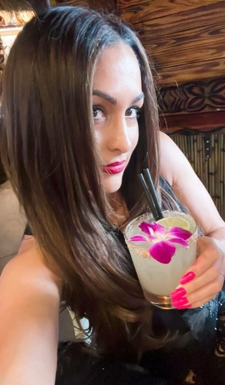 The Bella Twins_ hot star pictures