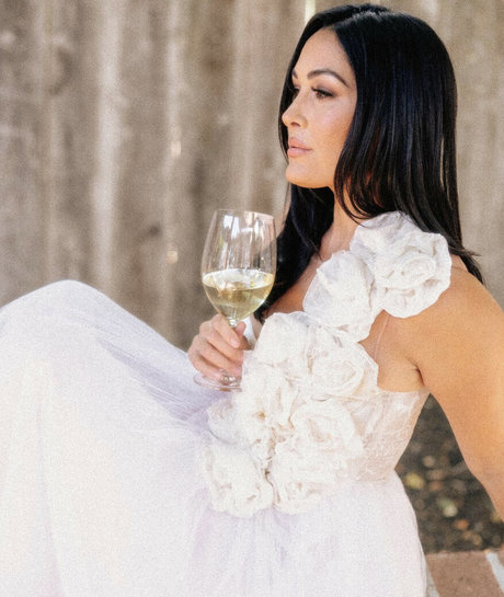 The Bella Twins_ porn actress image