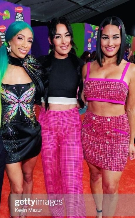 The Bella Twins_ pretty star image