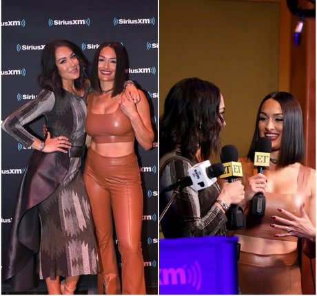 The Bella Twins_ pornstar adult img