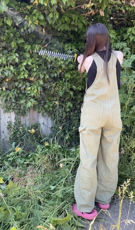 Frankie Lollia beautiful actress img