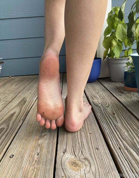 blissfulellie star xxx galleries