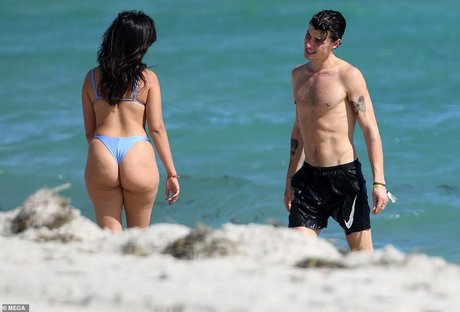 Camila Cabello erotic star gallery