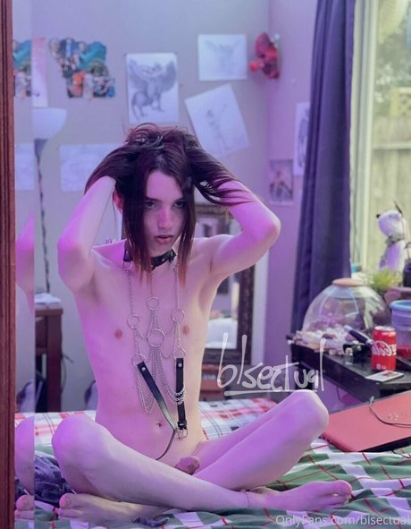 Bisectual star best archive