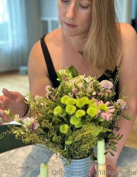 littleshyme best star image