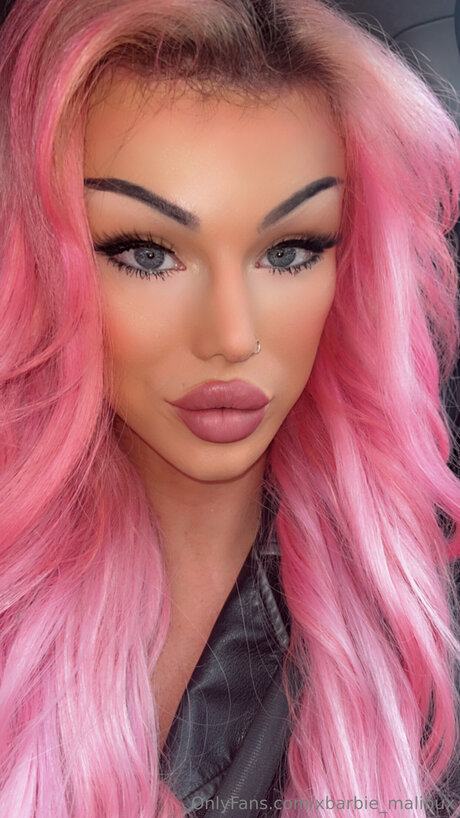 xbarbie malibux pornstar hot picture