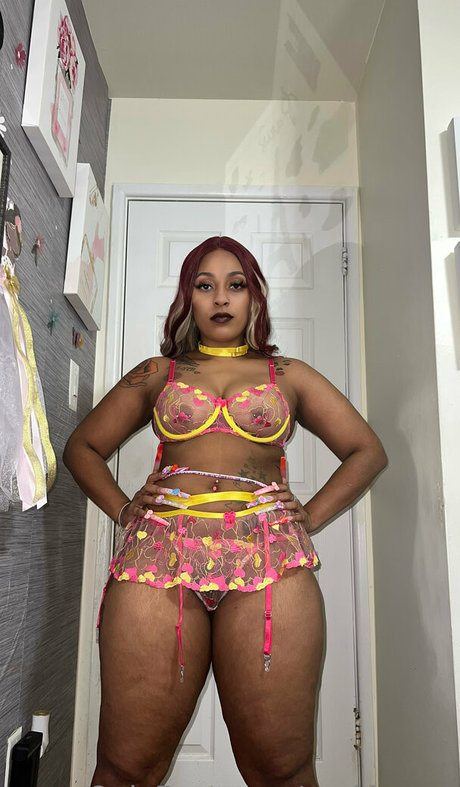 purkissess star beautiful galleries