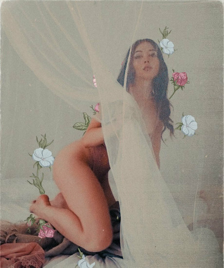 foxen kin hd star img