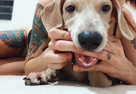 nude pictures onlyfans naked photos