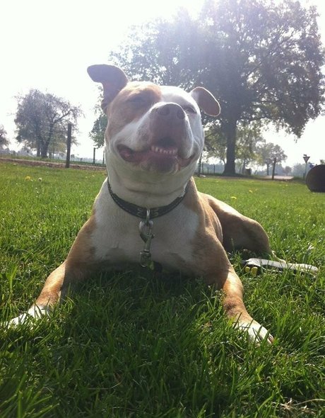 siswetlive model xxx pics