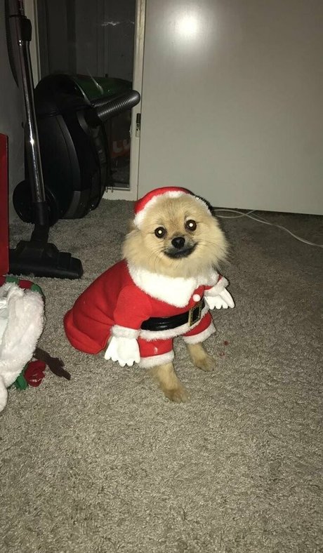 big ass onlyfans beautiful porn pic