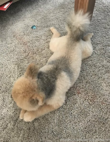 gay cum onlyfans free sexy galleries