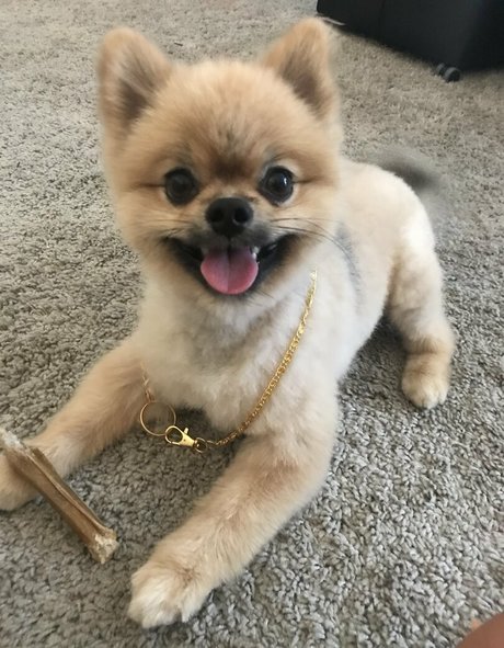 siswetlive beautiful star image