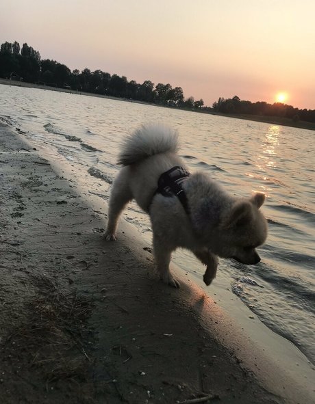 siswetlive star sex photos