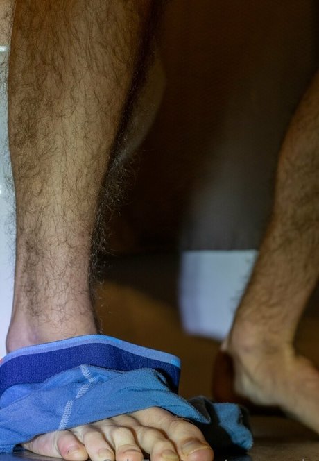 macrocole star images