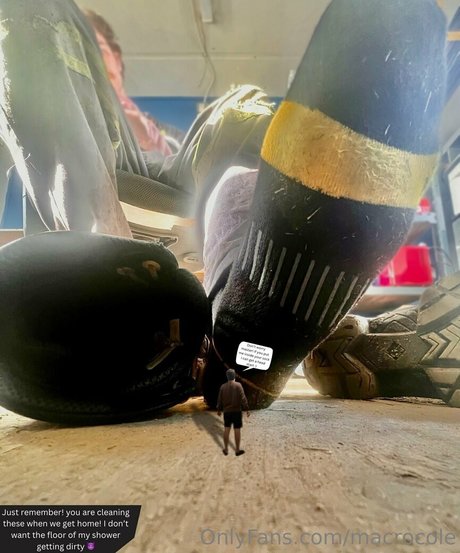 macrocole star nudes pic