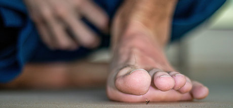 macrocole erotic star gallery