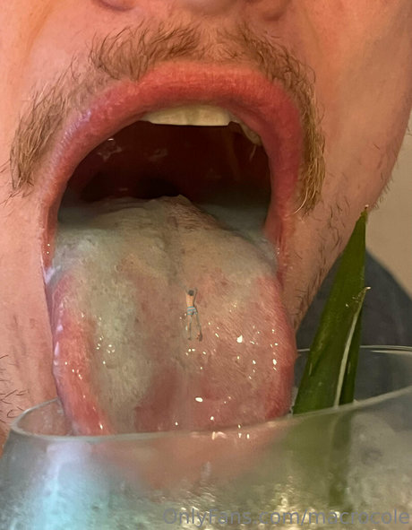 macrocole star perfect gallery