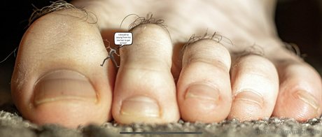 macrocole art model gallery