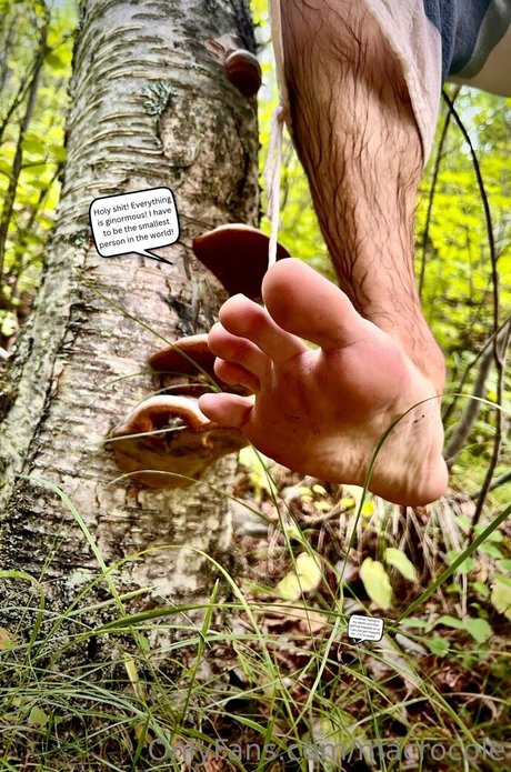 macrocole pretty model gallery