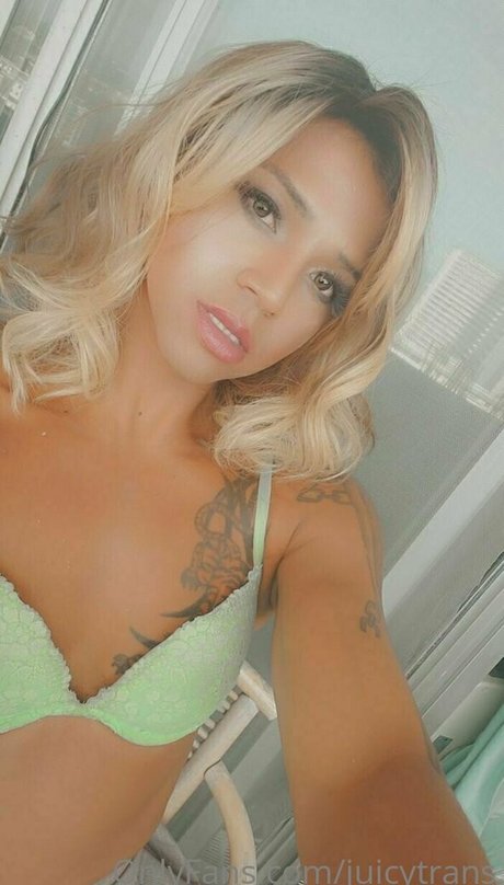 juicytrans perfect model galleries