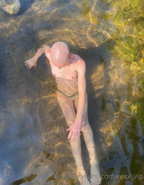 goddess tiereny nude star galleries