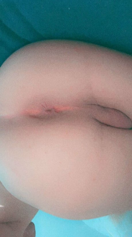 ts avery69 free pornstar image