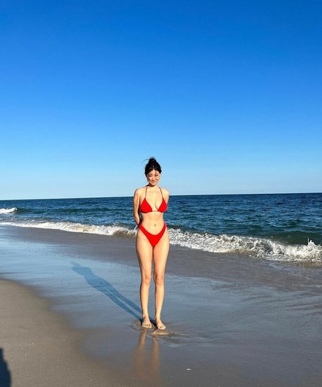 Pepperanyi art star galleries