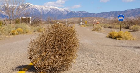 cameltoe onlyfans nude pic