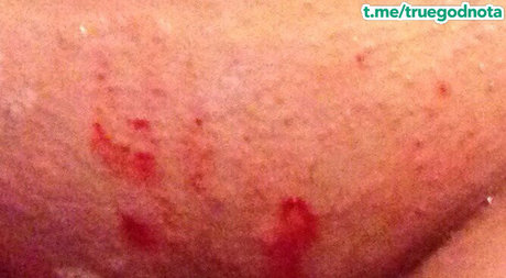 Nikachi Kotova beautiful pornstar picture