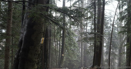 perfect onlyfans hot nude pic