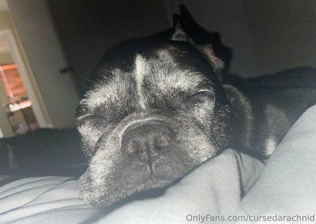 beach blowjob onlyfans art porn img