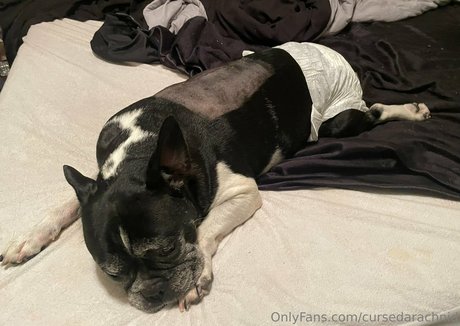 ebony feet onlyfans sexy xxx img