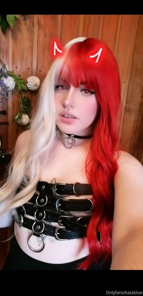 katablue2 model perfect picture