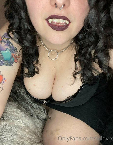 wildvix beautiful pornstar picture