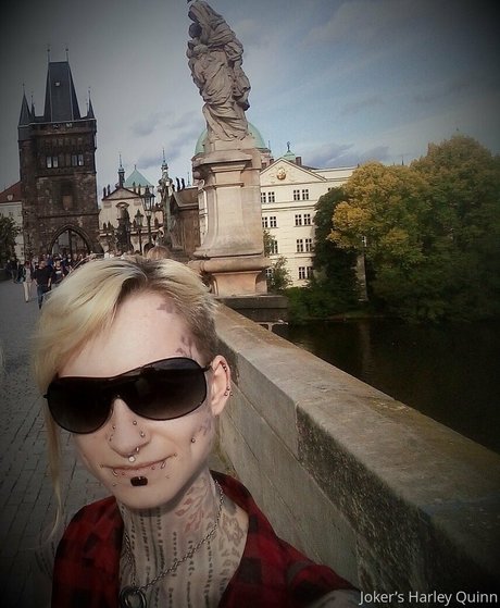 jokers free star perfect pics