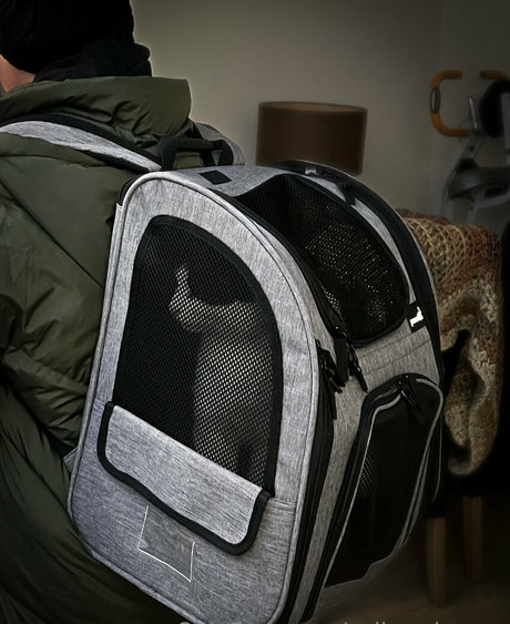 anal xxx onlyfans hot xxx photos