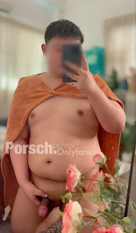 porsch pchral best model gallery