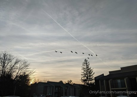 dream candy hd model photos