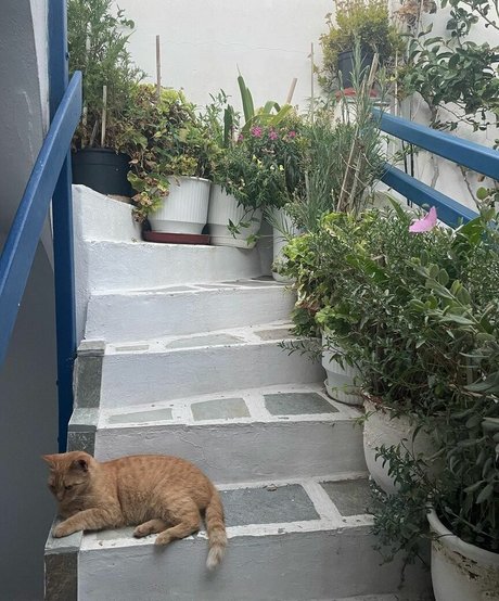 Gabriella Davies pornstar high quality pictures