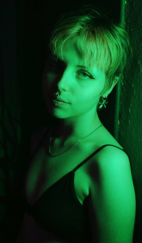 Sheepina star top picture