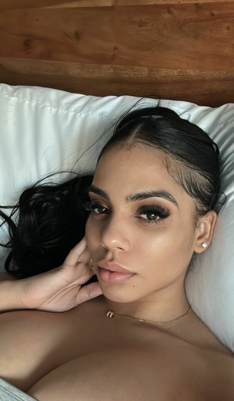 E dot perfect model picture