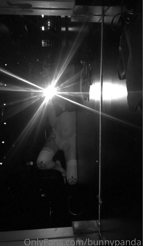 bunnypanda star sex image