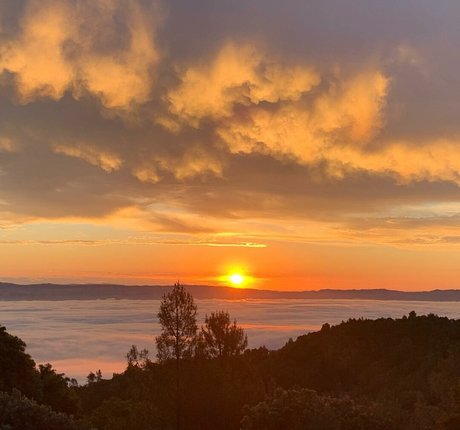 Yana Mori star adult photos