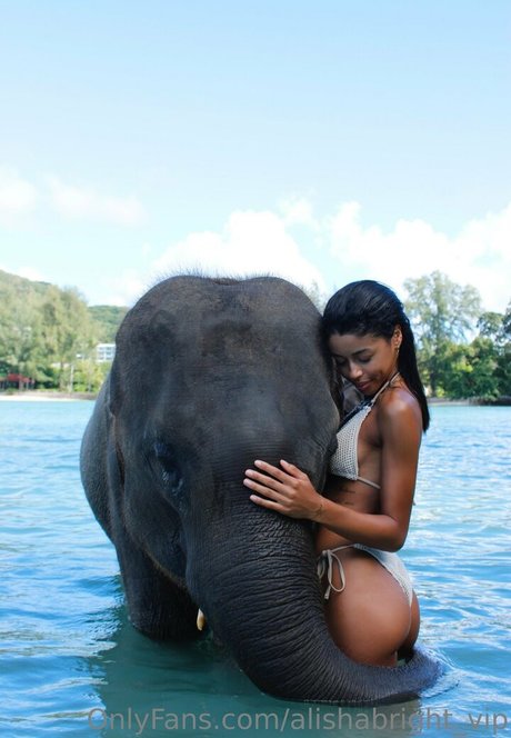 alishabright vip sex star pictures