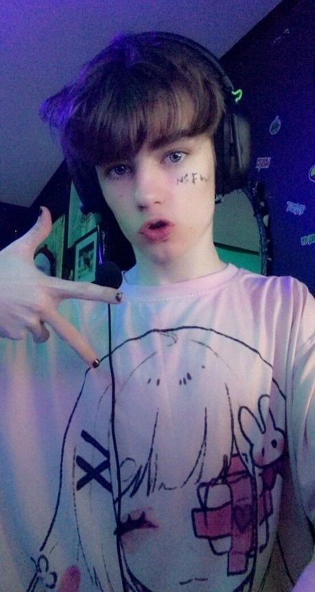 boixd model top photo