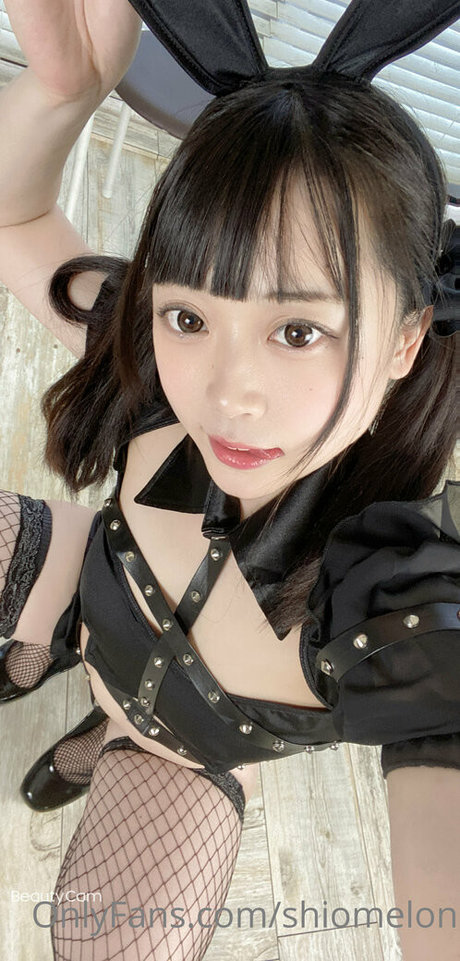 Shiomelon exclusive actress archive