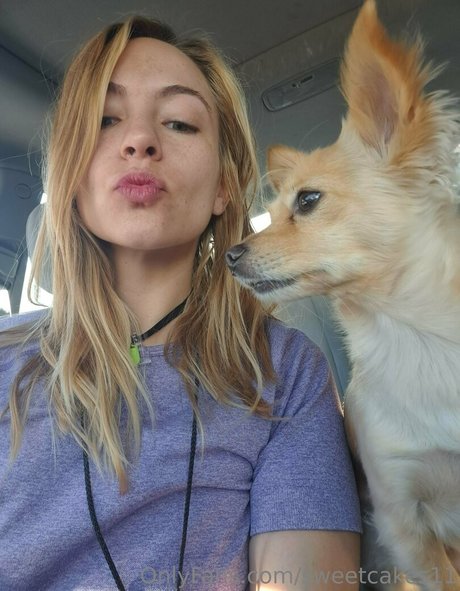 sweetcakes11 pornstar art image