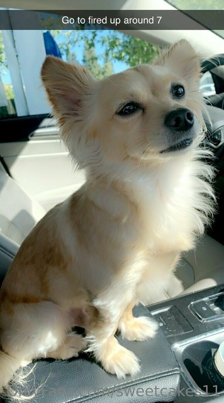 sweetcakes11 naked model pics