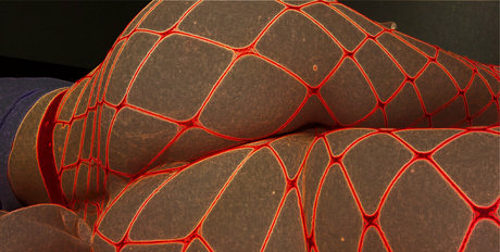 princesskittyfree pornstar nice pictures